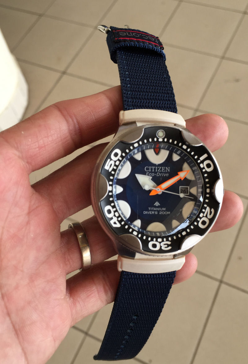 citizen orca strap